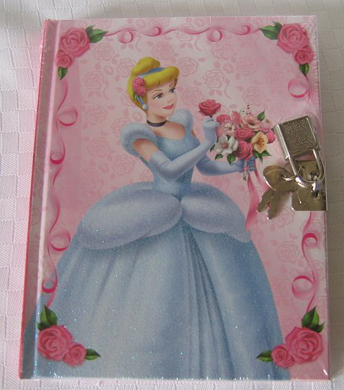 cinderellatagebuch500